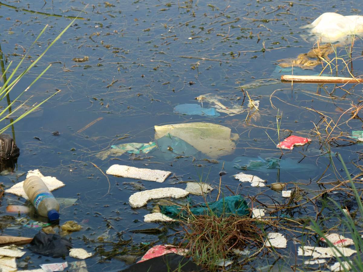 Zanieczyszczona woda. Obrazek w artykule Ile trwa usuwanie bakterii coli z wody? Jaki jest czas na usunięcie coli?