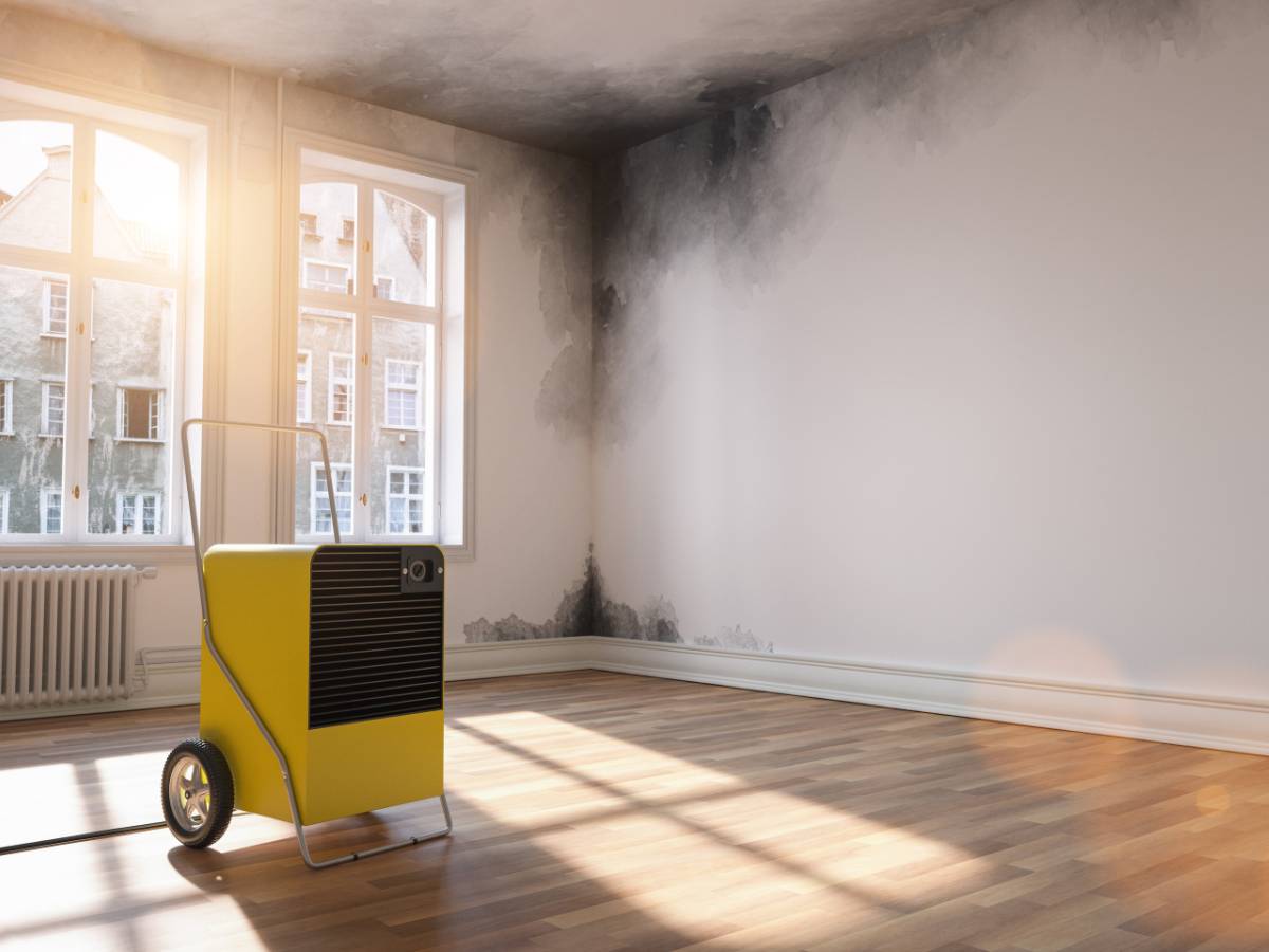 Pokój po zalaniu sufitu. Obrazek w artykule Jak zmniejszyć wilgotność w mieszkaniu domowym sposobem?