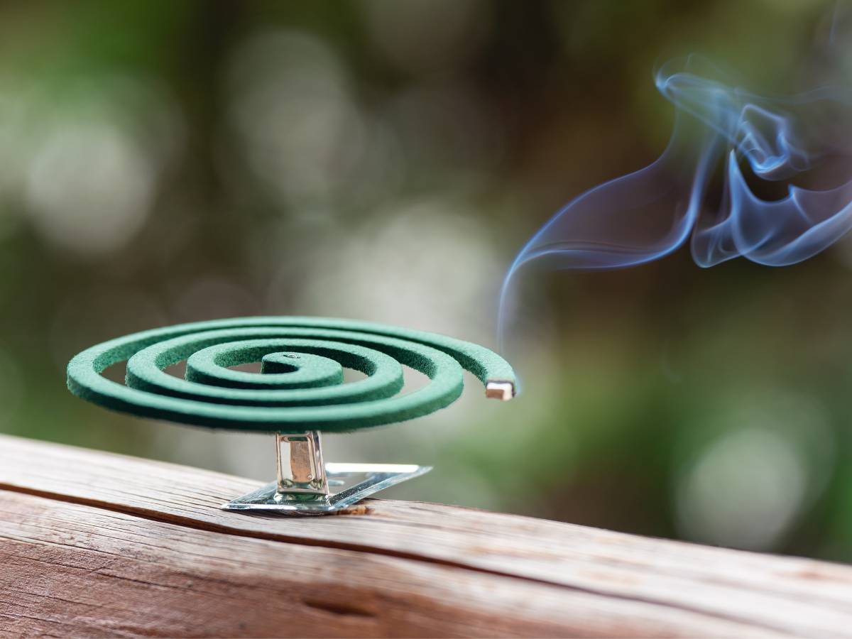 Spirala na owady. Obrazek w artykule Jakiego zapachu nie lubią muchy? Nieprzyjemny zapach dla much